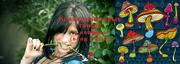наркотики Богданович